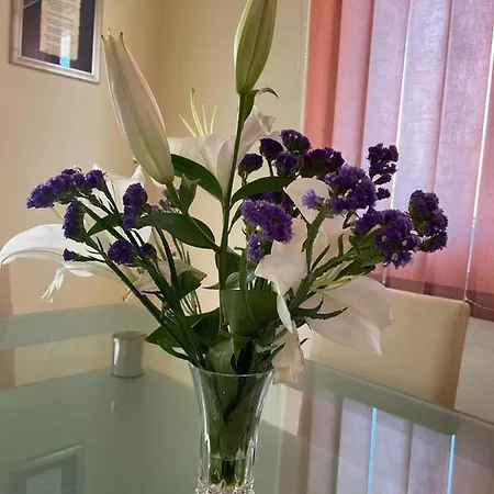 Edita Trogir With Private Pool Apartman *